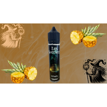 Ginnix 50ml- Chemin de la vape