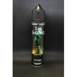 Ginnix 50ml- Chemin de la vape