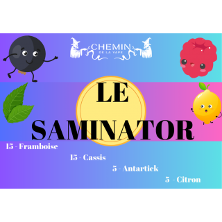 Le Saminator 60 ml - Bobble liquide