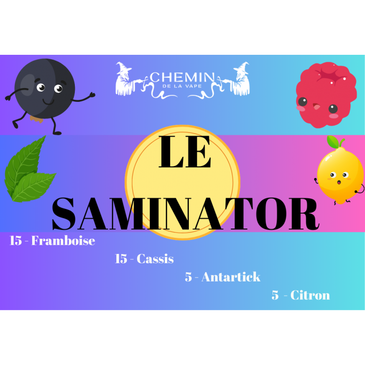 Le Saminator 60 ml - Bobble liquide