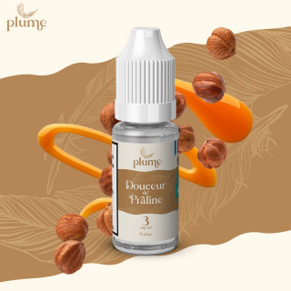 Douceur de praliné - 10ml